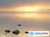 2020年樂山考起重高的人數