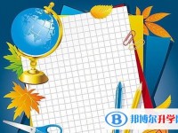 2020年樂山各個學校中考錄取線