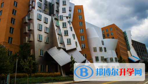 香港美國國際學校2023年招生辦聯系電話