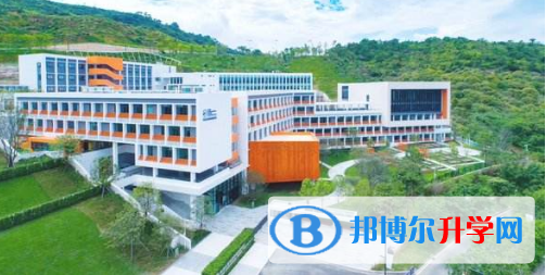 香港美國國際學校網站網址 