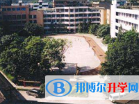 宜賓第八中學地址在哪里