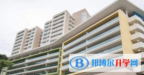 香港德瑞國際學校網站網址 