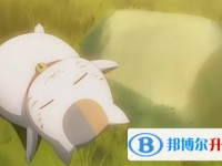 2020年眉山中考錄取報名網(wǎng)