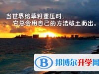 2020年眉山中考報(bào)名查詢(xún)