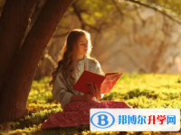 2020年樂山優志愿中考版