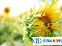 2020年樂山中考報名系統網址