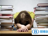 2020年樂山如果中考沒考上讀什么好