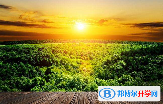 2020年眉山中考網(wǎng)上報(bào)名模擬