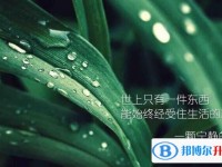 2020年樂山今年中考哪些學校有招生
