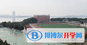 武漢洪山中學國際部2023年招生計劃