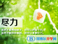 2020年遵義中考志愿如何填報