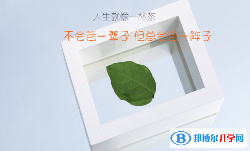 2020年遵義中考查詢成績網址