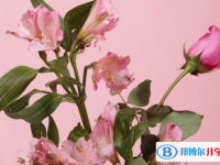 2020年遵義中考成績查詢
