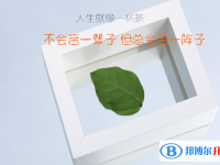 2020年遵義中考查詢(xún)成績(jī)網(wǎng)址