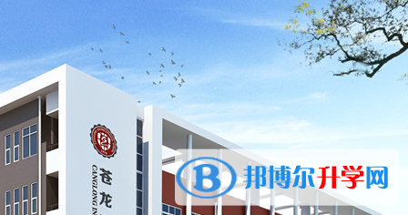 蒼龍國際學(xué)校2023年招生計劃