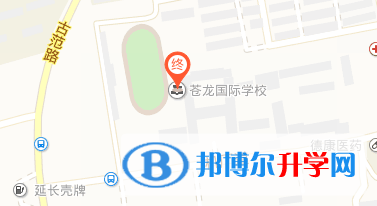 蒼龍國際學校地址在哪里