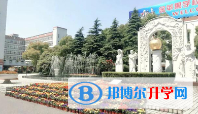 上海金蘋果雙語(yǔ)學(xué)校國(guó)際部2023年學(xué)費(fèi)、收費(fèi)多少