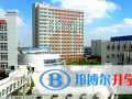 上海金蘋果雙語學校國際部2023年報名條件、招生要求、招生對象