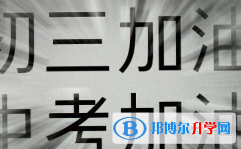 2020年眉山優志愿中考版