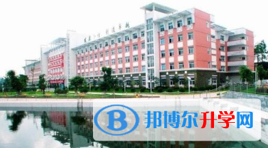 綿陽東辰國際學校網站網址 