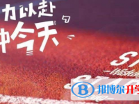 2020年眉山中考調劑志愿