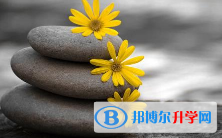 2020遵義中考是什么時候