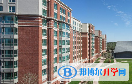 北京鼎石國際學校2023年招生計劃