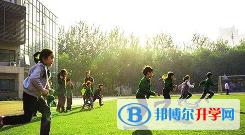 青苗國際雙語學(xué)校2023年學(xué)費(fèi)、收費(fèi)多少