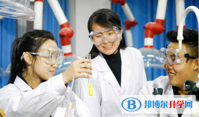 北京王府國際學校地址怎么樣、好不好
