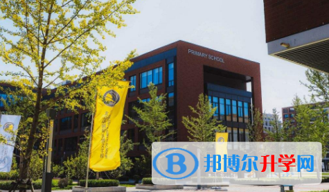 北京朝陽凱文學校藝術高中網站網址 