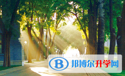 北京潞河國際教育學(xué)園2023年學(xué)費(fèi)、收費(fèi)多少