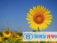 2020年畢節(jié)中考重點(diǎn)線上線率