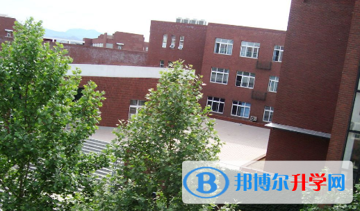 北京北外附屬外國語學校2023年招生計劃