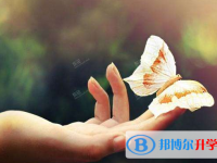 2020年畢節中考線是好多