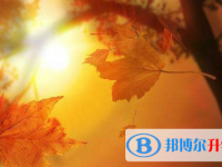 2020年畢節中考閱卷安排