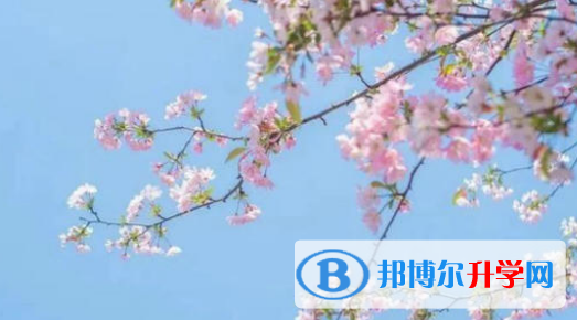 合肥新華公學2023年招生辦聯系電話