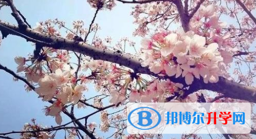 合肥新華公學(xué)怎么樣、好不好