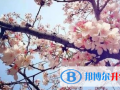 合肥新華公學(xué)怎么樣、好不好