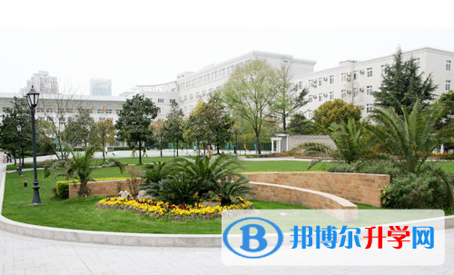 上海實驗學校劍橋教育中心2023年招生計劃