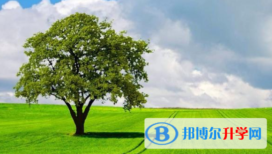 2020年畢節中考網上報名系統