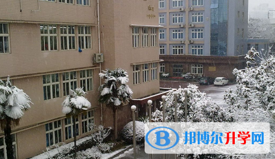 上海外國(guó)語(yǔ)大學(xué)附屬外國(guó)語(yǔ)學(xué)校怎么樣、好不好