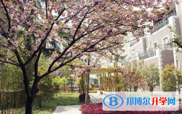 美國巴斯圖高中2023年學(xué)費(fèi)、收費(fèi)多少