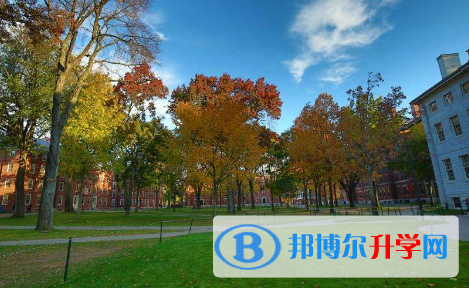 HDC中韓雙語高中怎么樣、好不好