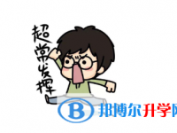 2020年畢節中考錄取報名網