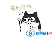 2020年畢節中考錄取