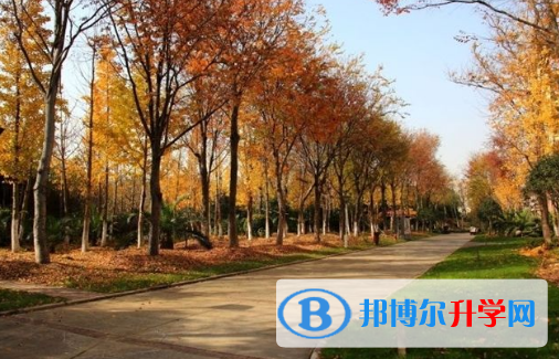 上海師范大學天華學院國際高中網(wǎng)站網(wǎng)址 