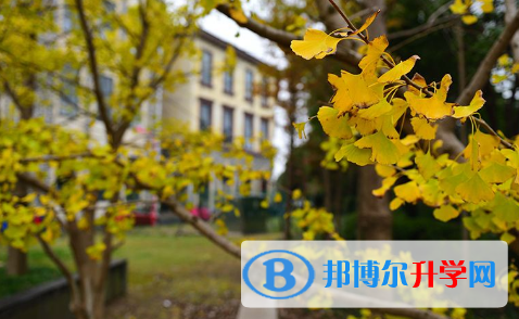 上外賢達國際高中2023年報名條件、招生要求、招生對象