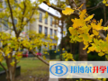 上外賢達(dá)國(guó)際高中2023年報(bào)名條件、招生要求、招生對(duì)象