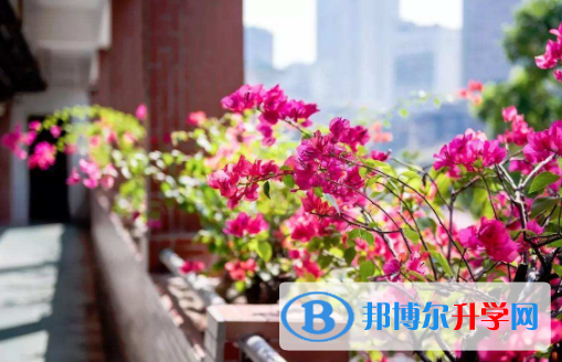 執信中學國際部怎么樣、好不好