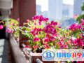 執(zhí)信中學國際部怎么樣、好不好